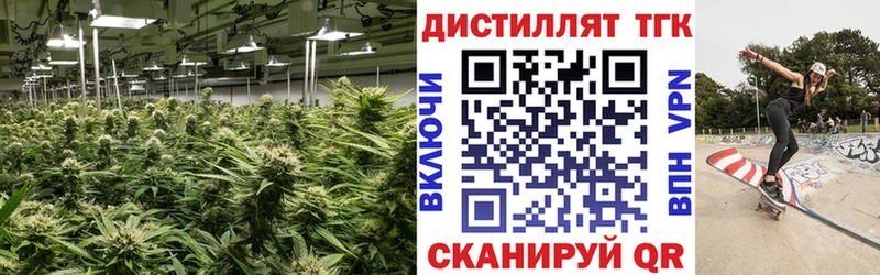 Дистиллят ТГК гашишное масло  darknet состав  Сунжа 