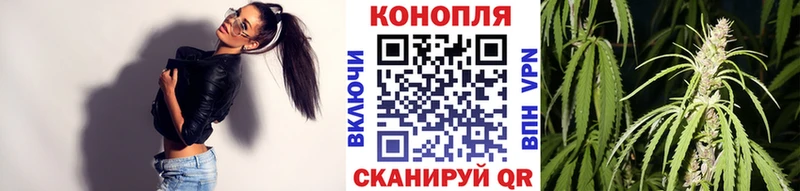 Канабис MAZAR Сунжа